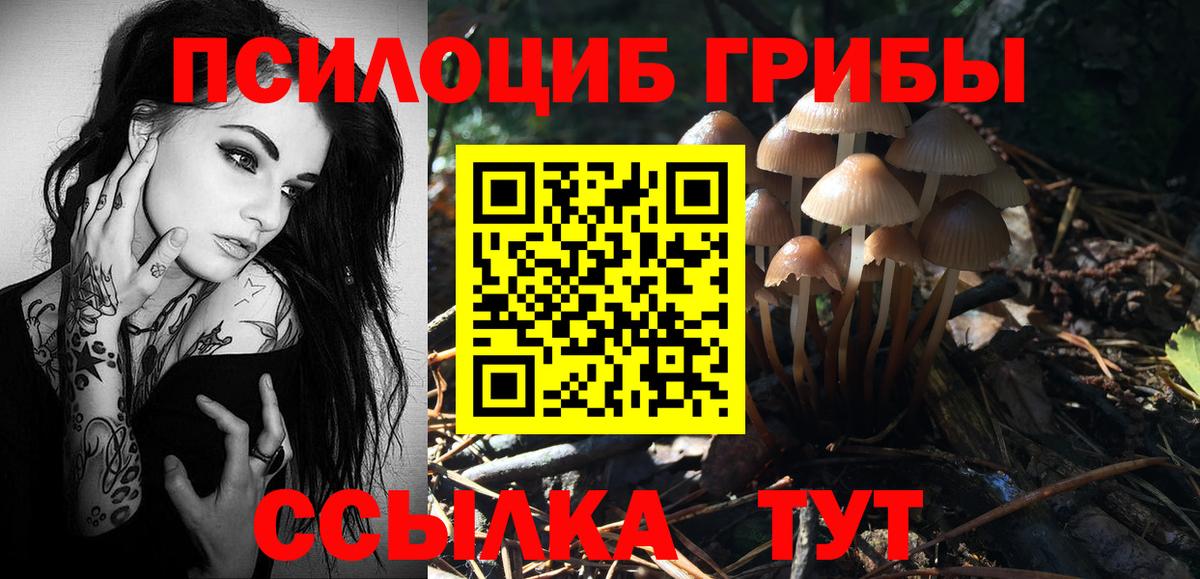 Псилоцибиновые грибы прущие грибы  Вход с VPN  Пугачёв 