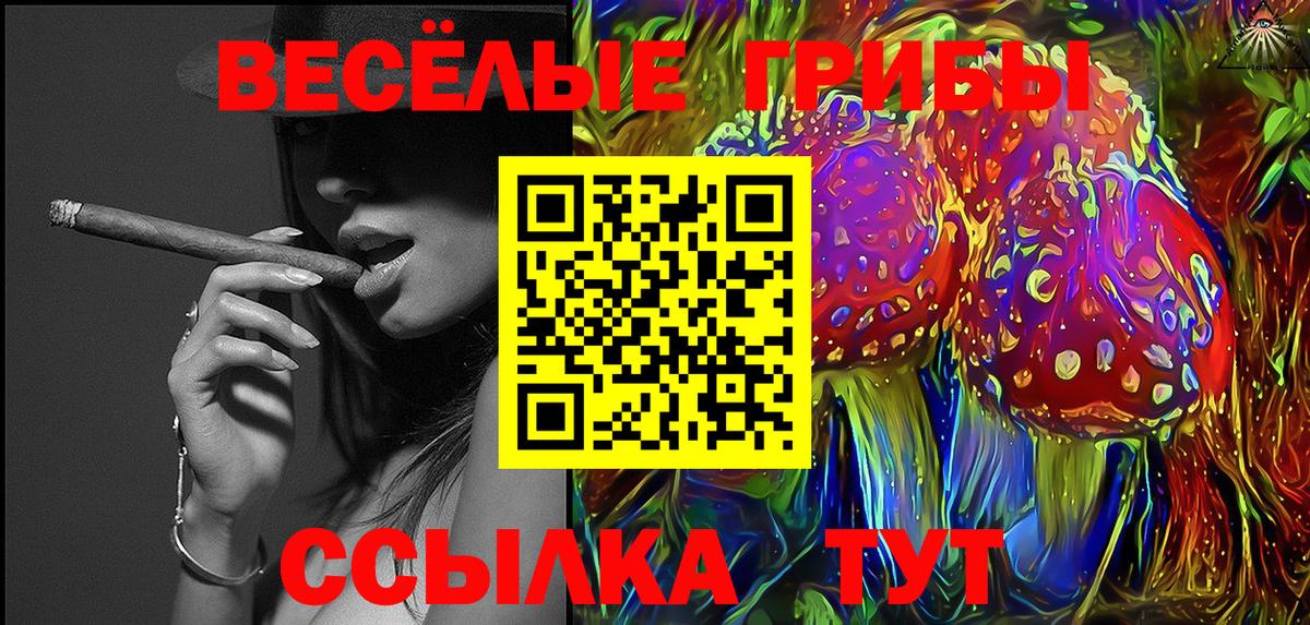 Псилоцибиновые грибы мицелий Пугачёв