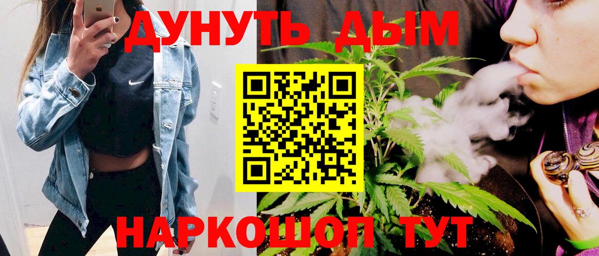 Конопля сатива Пугачёв